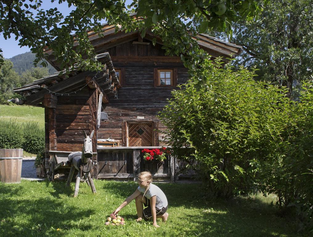 Straganzhof Villa Iselsberg ภายนอก รูปภาพ